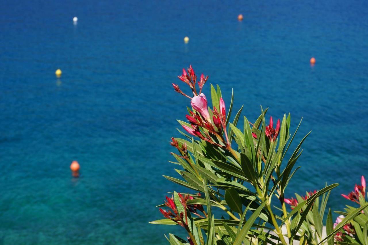 Apartment Layla - Intermezzo With Sea View In Center Of Rabac Luaran gambar