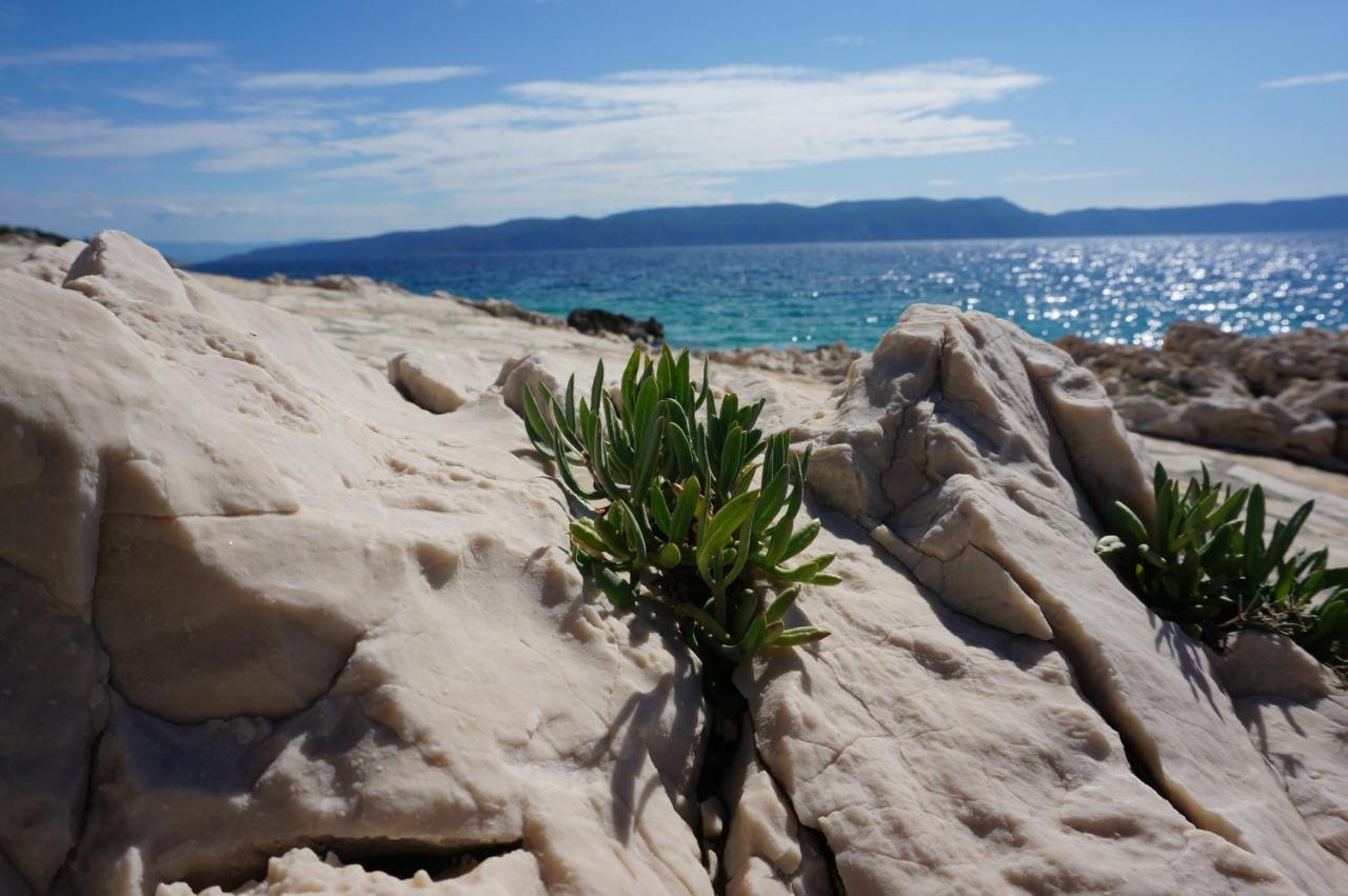 Apartment Layla - Intermezzo With Sea View In Center Of Rabac Luaran gambar